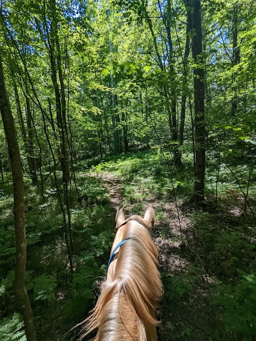 D bar D Ranch 8