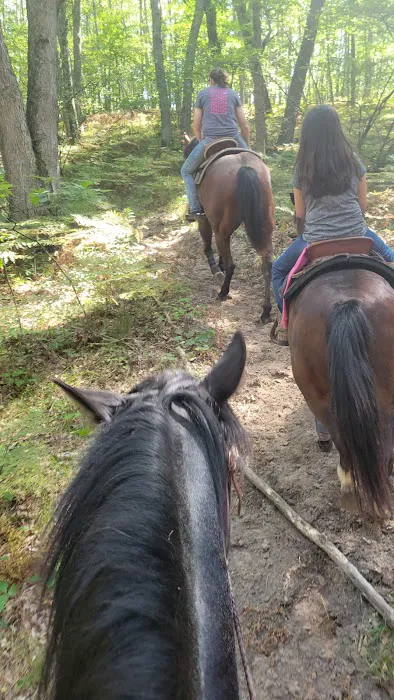 D bar D Ranch 2