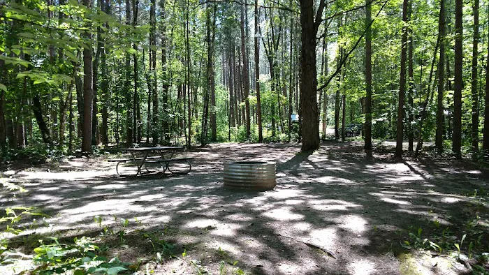 Sunrise Lake State Forest Campground 5