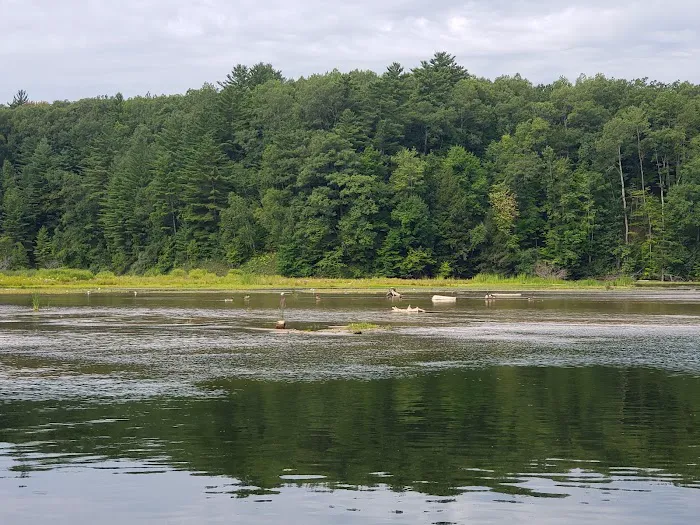 Loomis Landing Campground and Marina 5