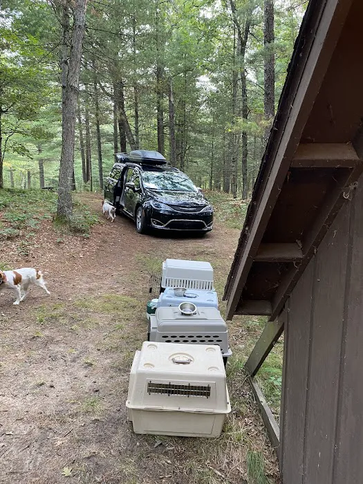 The Pines Campground 4