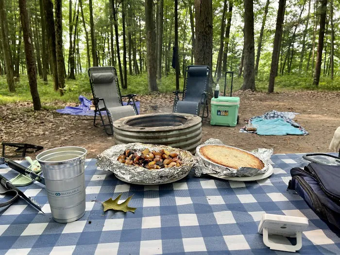 Tippy Dam Campground-MDNR 0