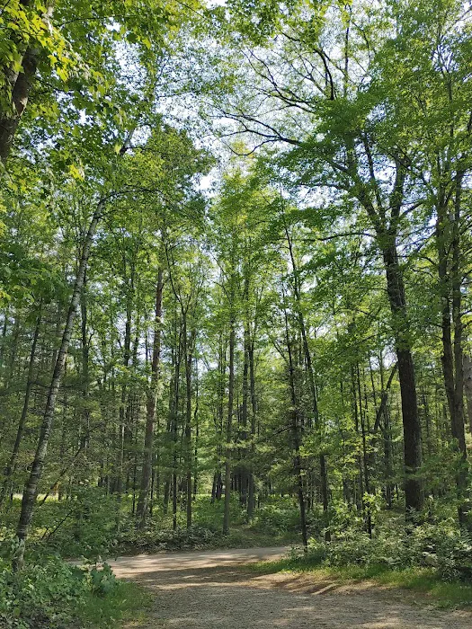 Tippy Dam Campground-MDNR 3