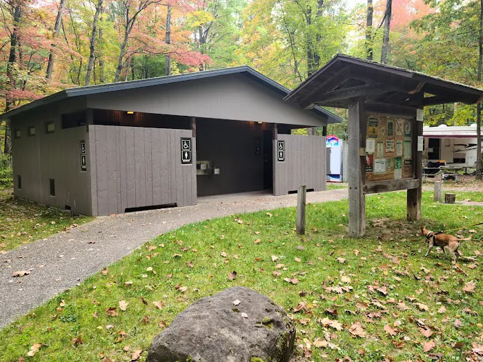 Peterson Bridge South Campground 2