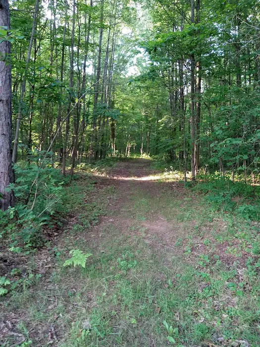R and J Resort Campground 8