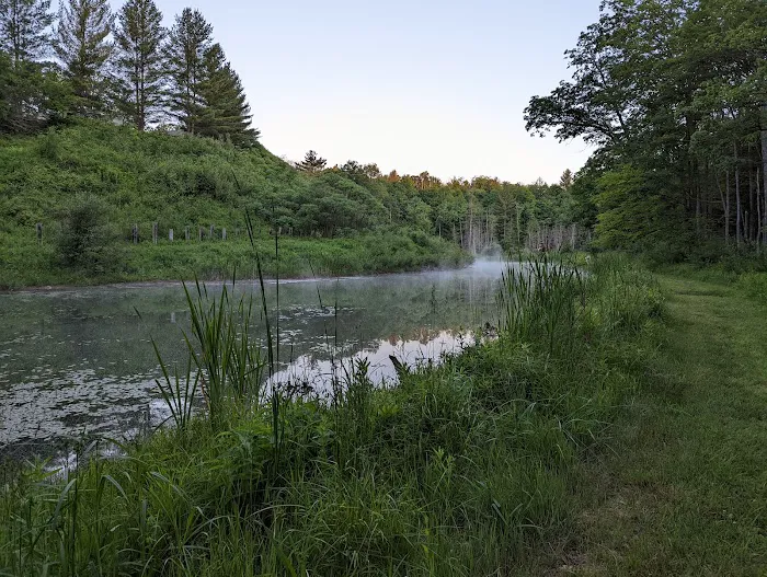 Coolwater On the Pine...Camping & Cabins 3