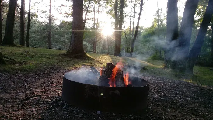 Peterson Creek Campground 9
