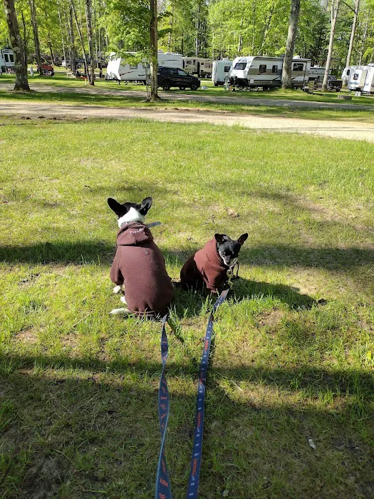 Peterson Creek Campground 7