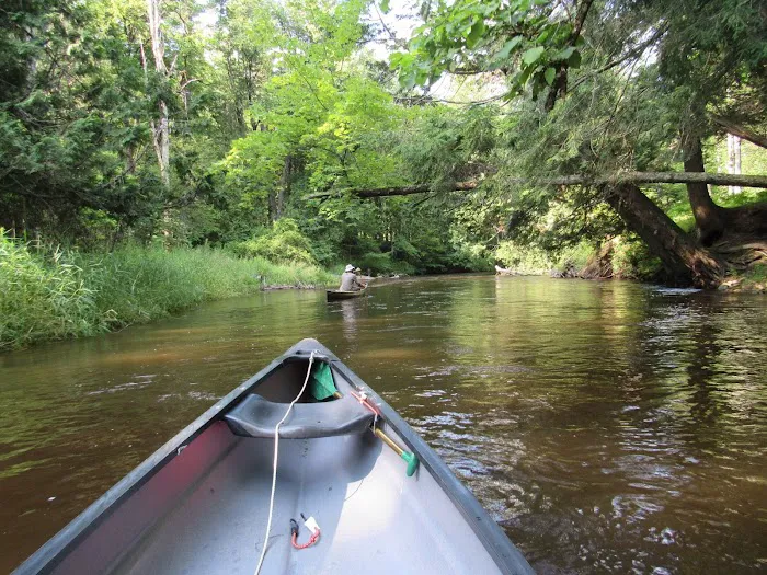 Lincoln Bridge State Forest Campground 5
