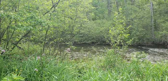 Lincoln Bridge State Forest Campground 9