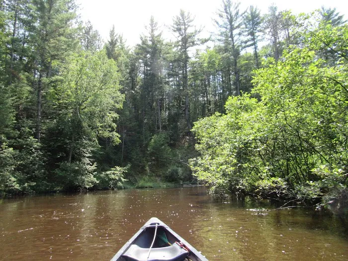 Lincoln Bridge State Forest Campground 7