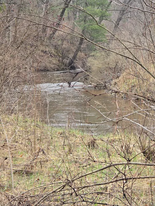 Silver Creek Campground 5
