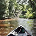 Silver Creek State Forest Campground