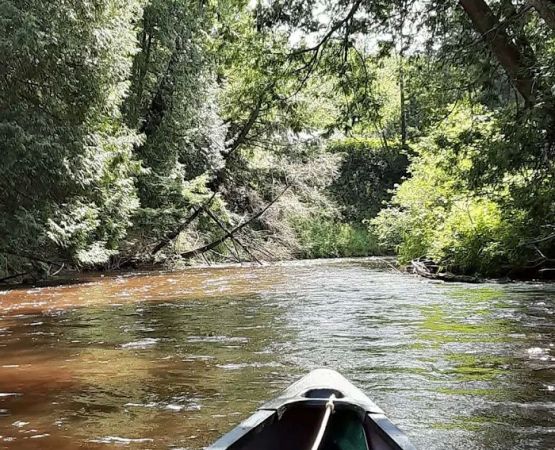 Silver Creek State Forest Campground