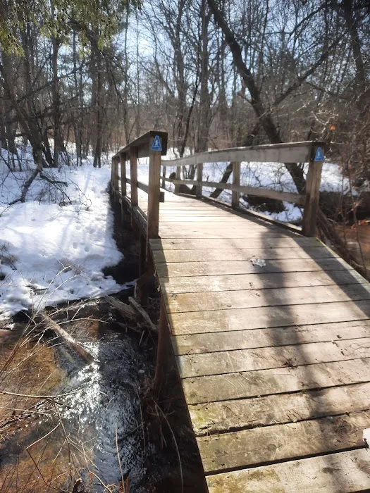 Silver Creek State Forest Campground 2