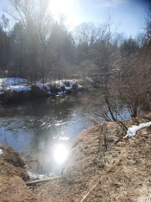 Silver Creek State Forest Campground 7