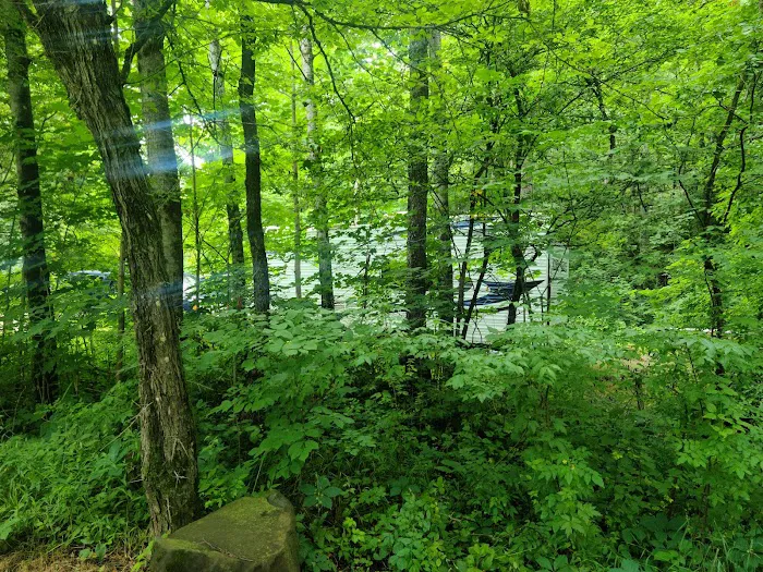 Silver Creek State Forest Campground 5