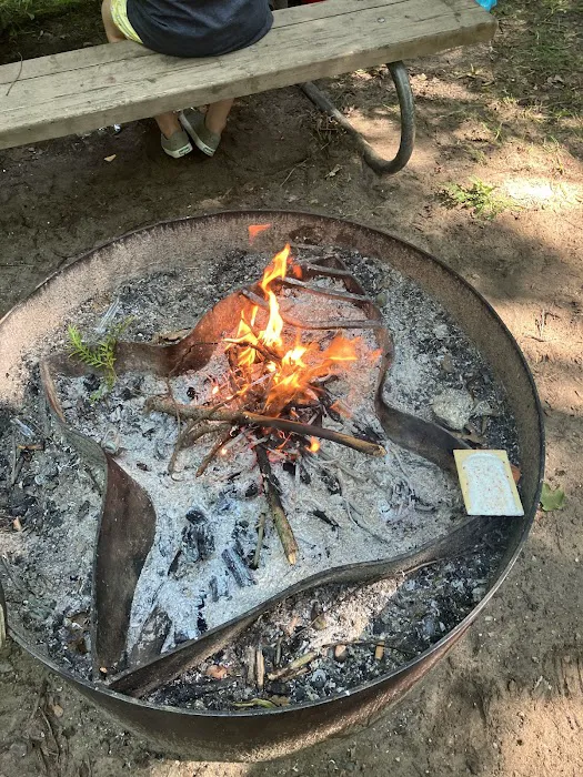Silver Creek State Forest Campground 8