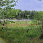 Red Bridge River Access