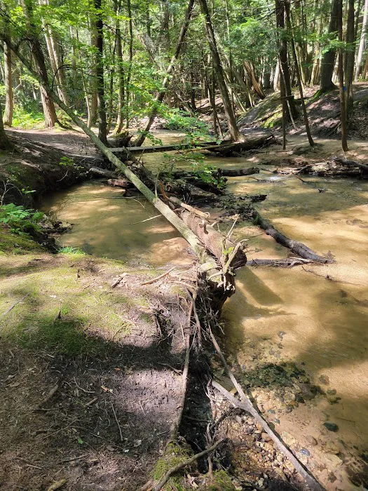Red Bridge River Access 9