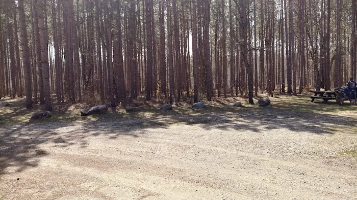 Carrieville State Forest Campground 5