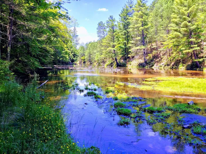 Seaton Creek Campground 6