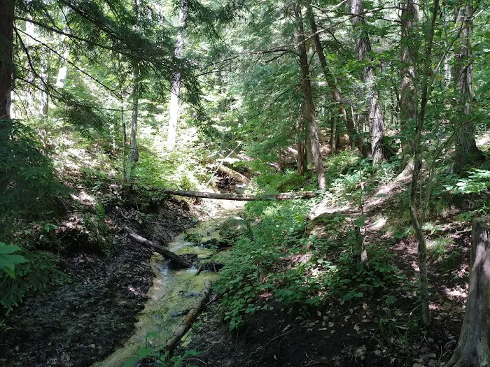 Seaton Creek Campground 9
