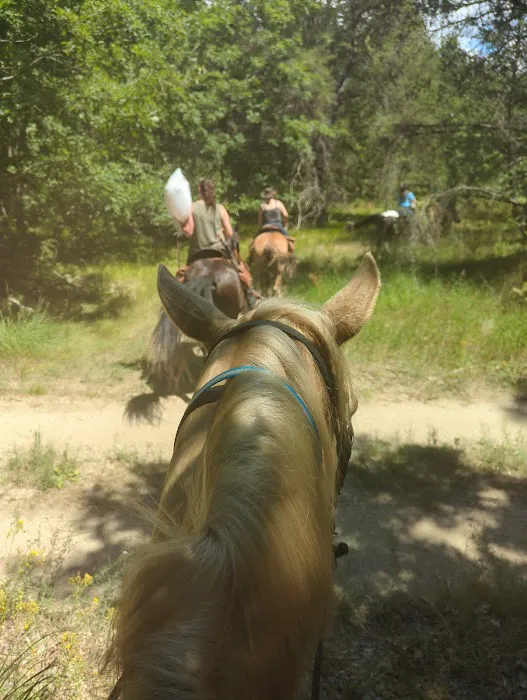 Marzinski Horse Trailhead & Campground 2