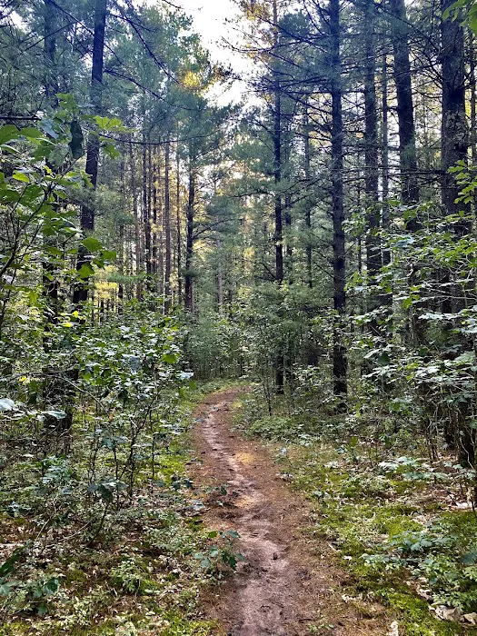 Marzinski Horse Trailhead & Campground 9