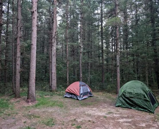 Marzinski Horse Trailhead & Campground