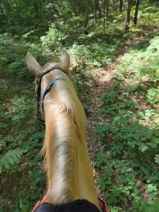 Marzinski Horse Trailhead & Campground 3