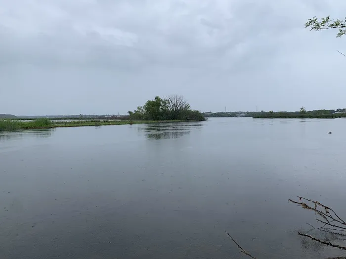 Manistee River RV Resort & Marina 3