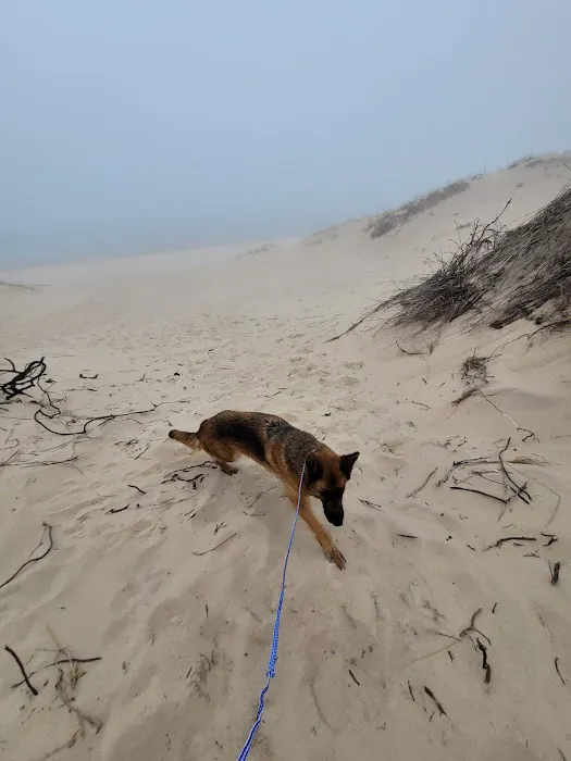 Lake Michigan Recreation Area Group Camping 2