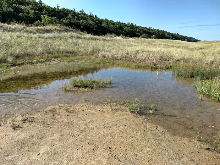 Lake Michigan Recreation Area 4