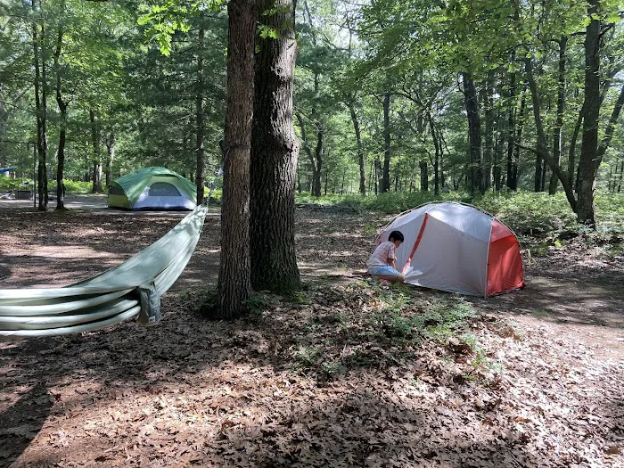 Lake Michigan Recreation Area 1