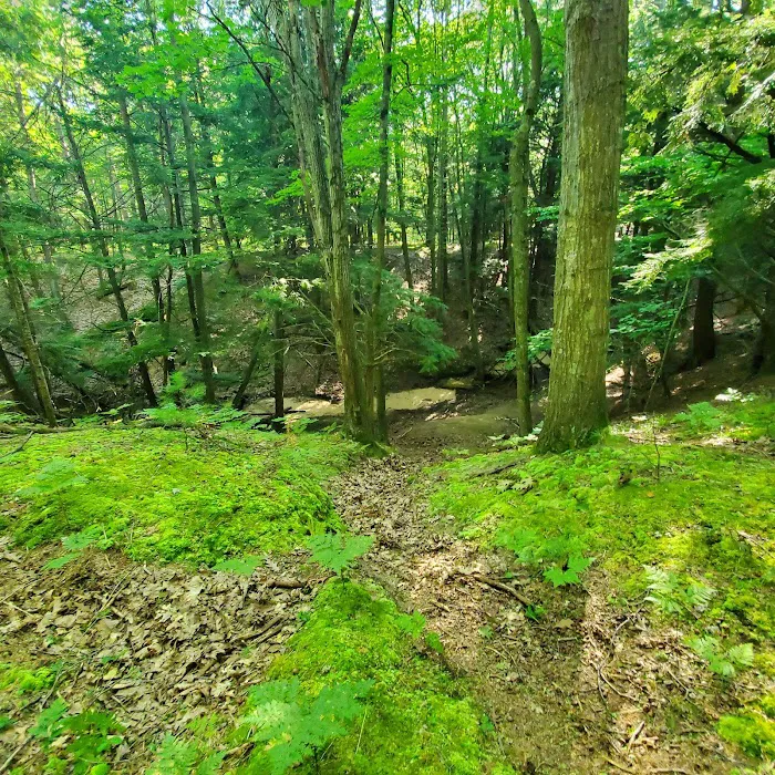 Lake Michigan Recreation Area 9