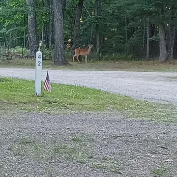 Shady Oaks Campground & RV Park 0
