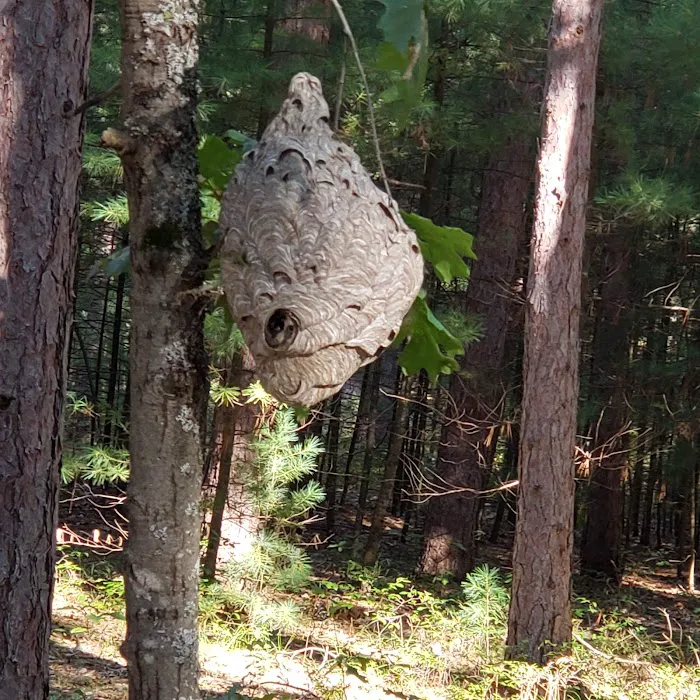 Monument Campground 9