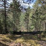 Silver Valley Trailhead