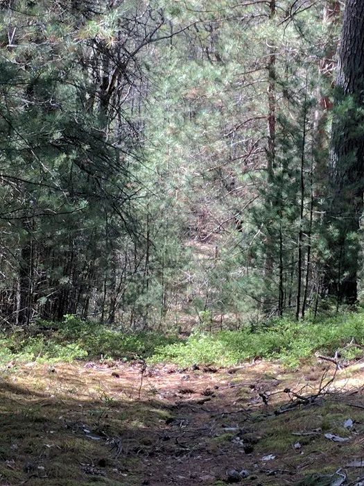 Silver Valley Trailhead 6