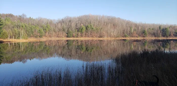 Long Lake (Missaukee) State Forest Campground 2