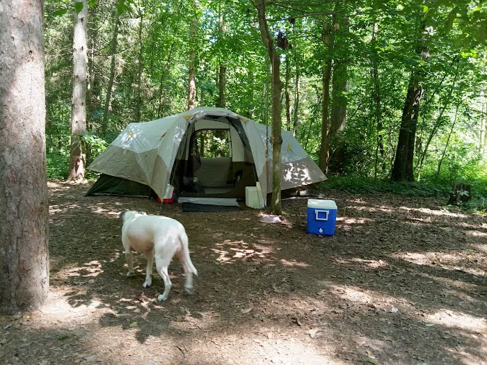 Life Adventures Camp 1