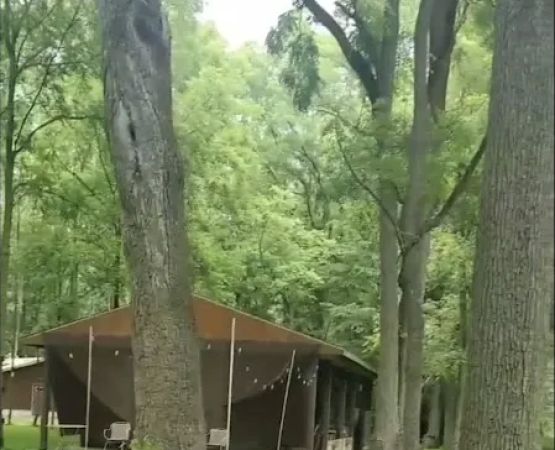 Life Adventures Camp