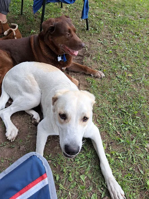 Hughey lake campground 7