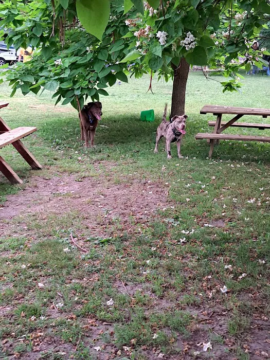 Hughey lake campground 8