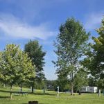 Hardwood Lake Campgrounds