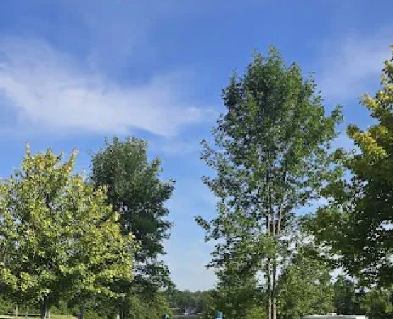 Hardwood Lake Campgrounds