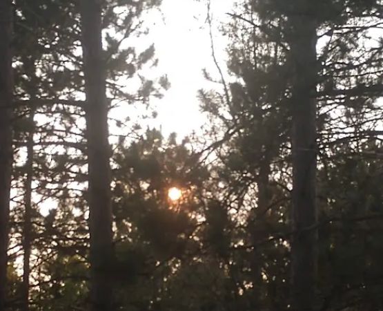 McCollum Lake State Forest Campground