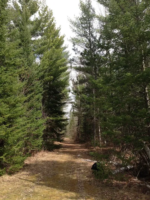 Lakewood Campground 8