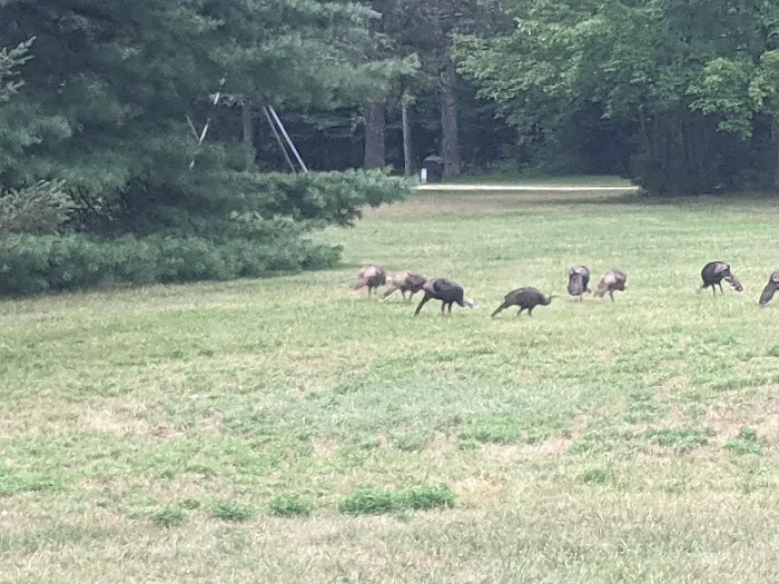 Lakewood Campground 3